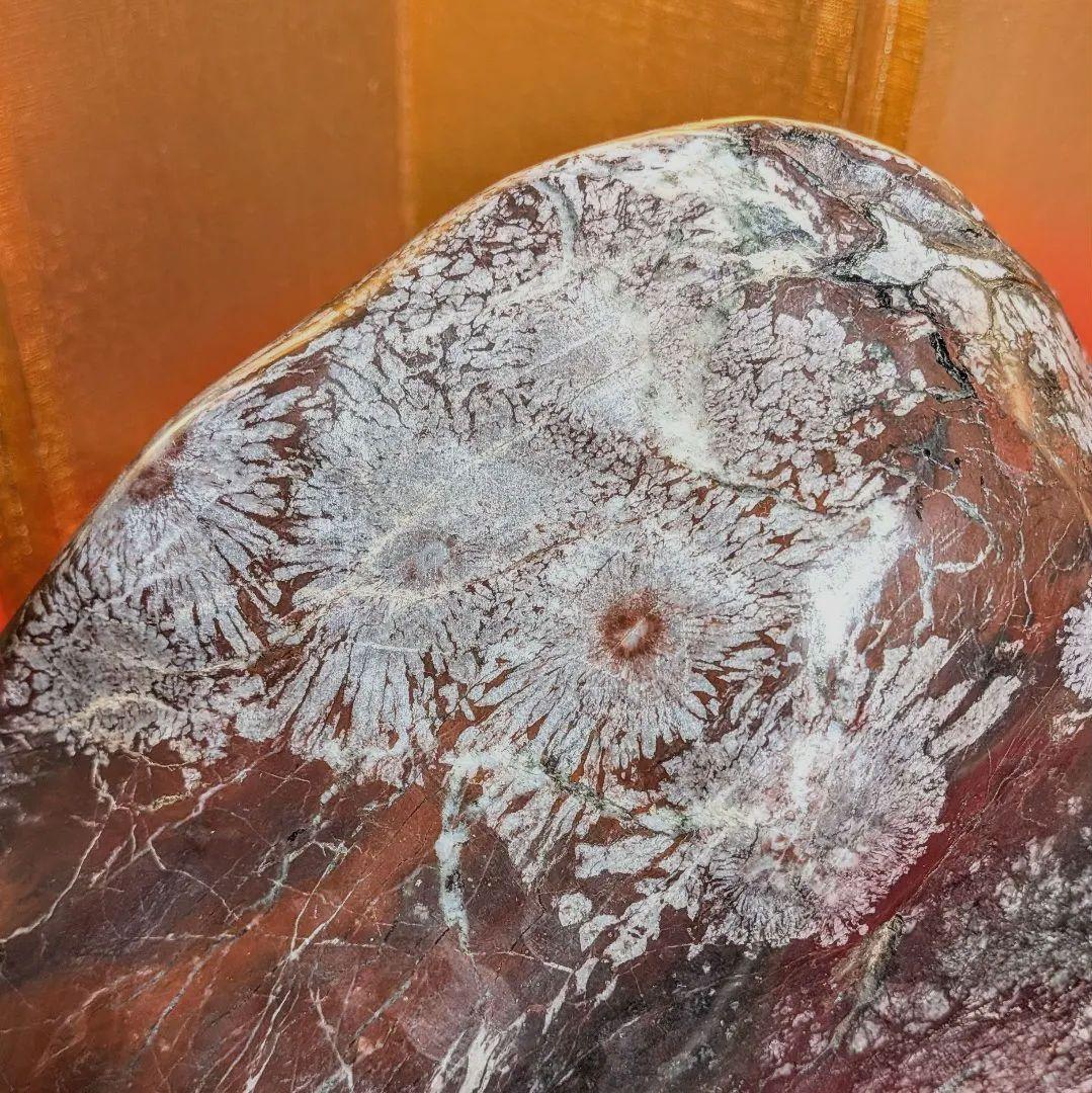 菊花石 岐阜県根尾谷産7.9㌔ 鑑賞石 観賞石 水石 盆石 天然石 鉱物