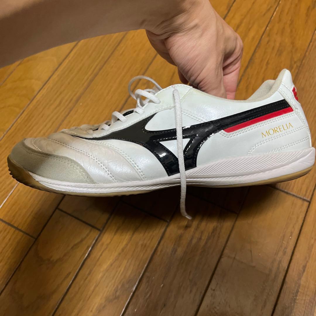 モレリア　サラ　エリートイン　26.5 インドア