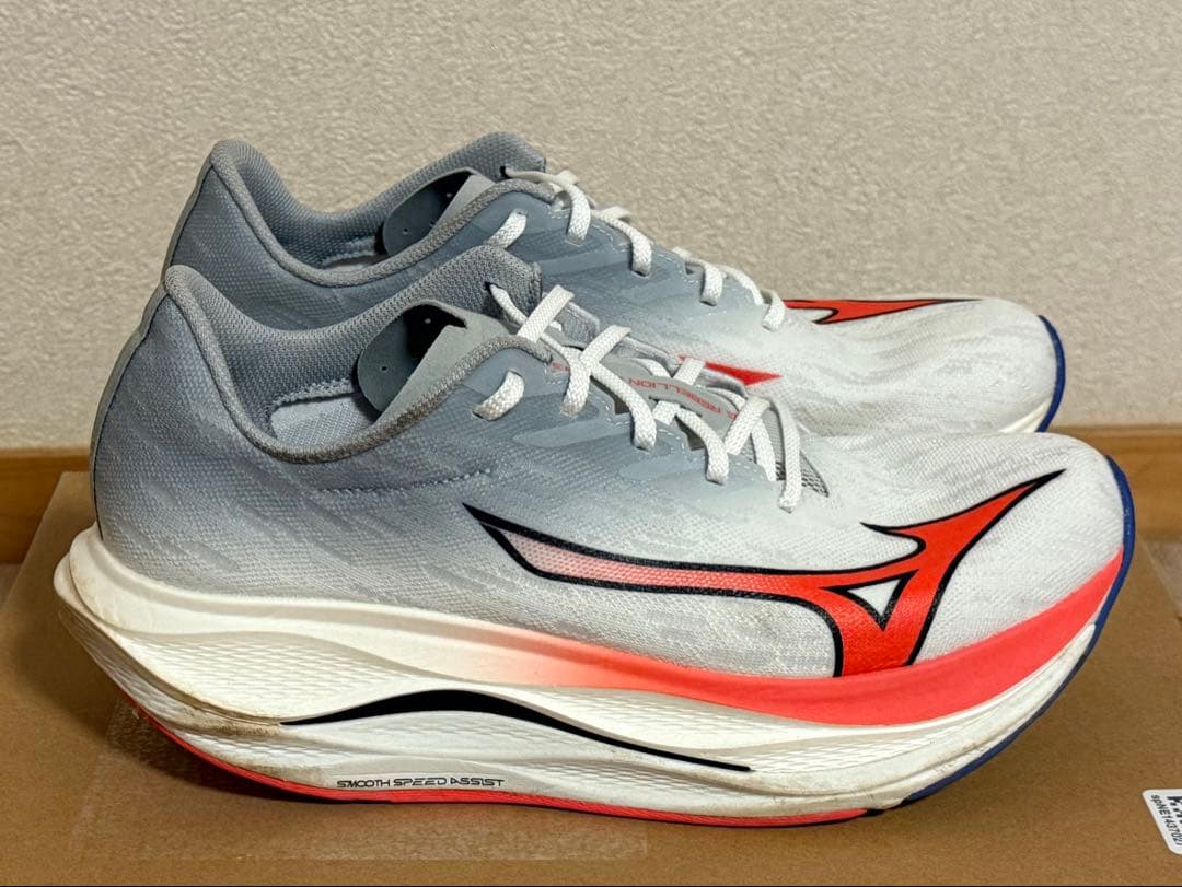 MIZUNO／WAVE REBELLION FLASH 3 （28.5cm）