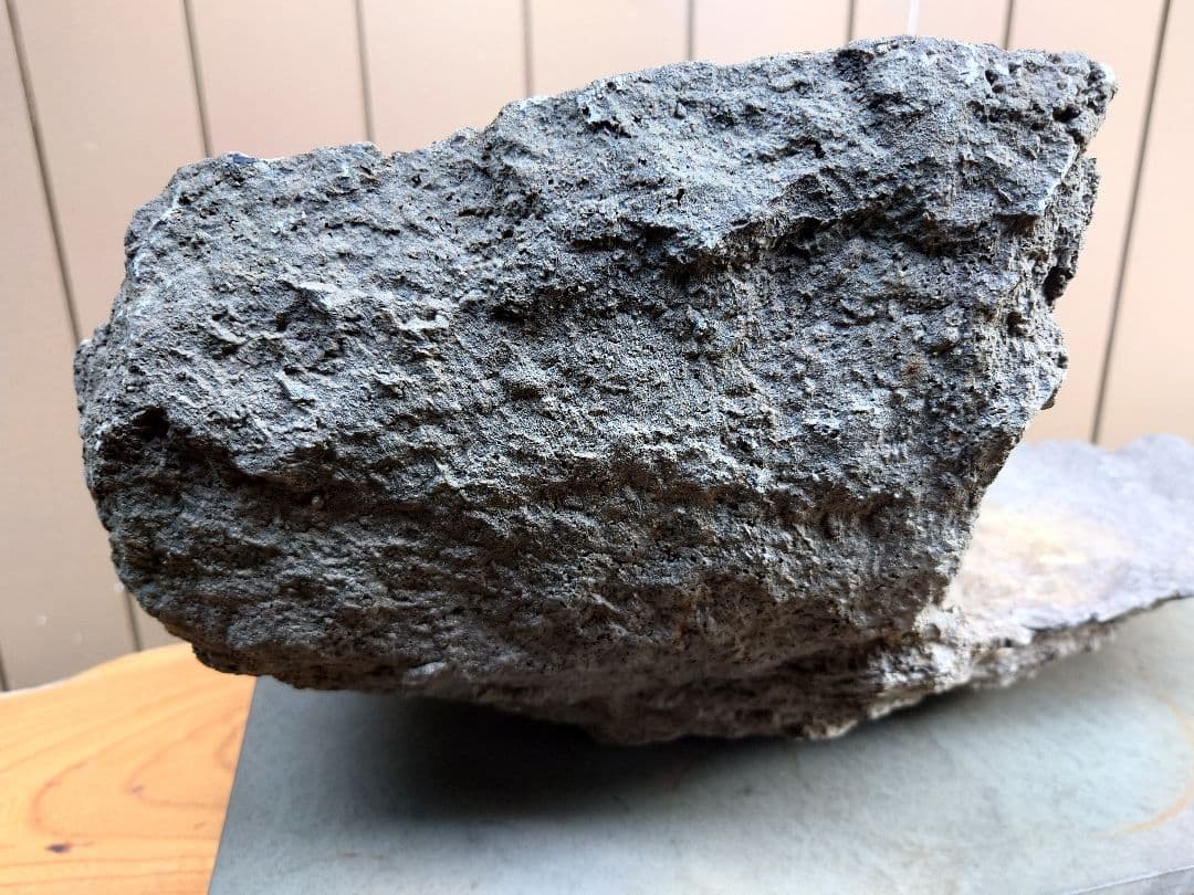 盆栽　鉢　鞍馬石？　平石　幅55.5cm