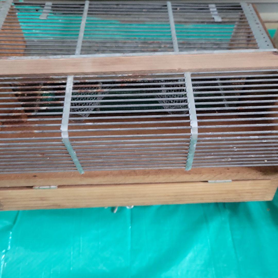 【送料込】養蜂器具（スズメバチ捕獲器付き）