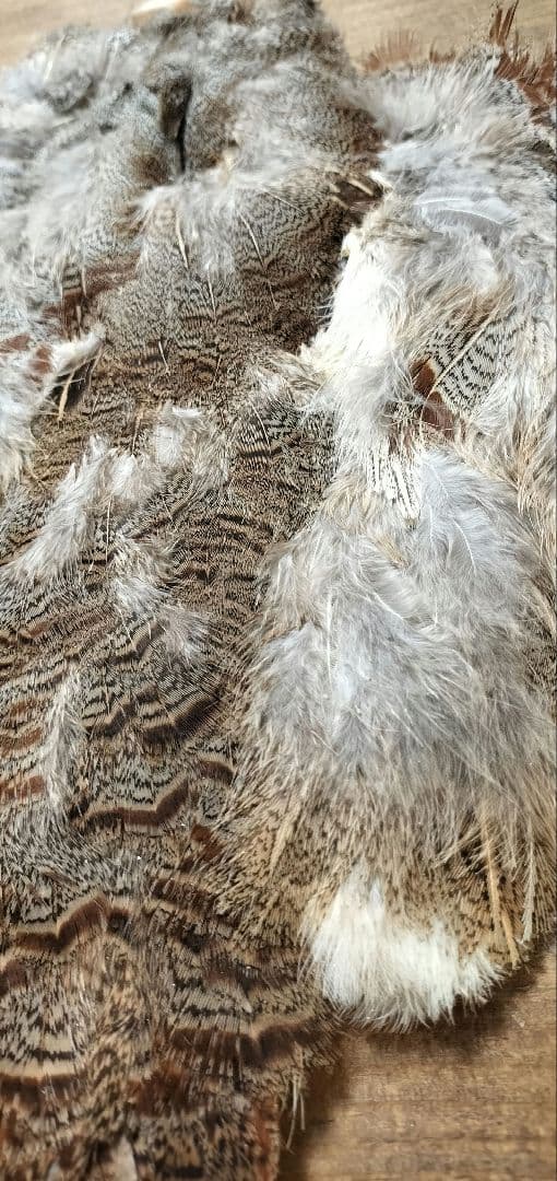 【フライタイイング】ハックル ケープ・クイル 5点まとめ売り