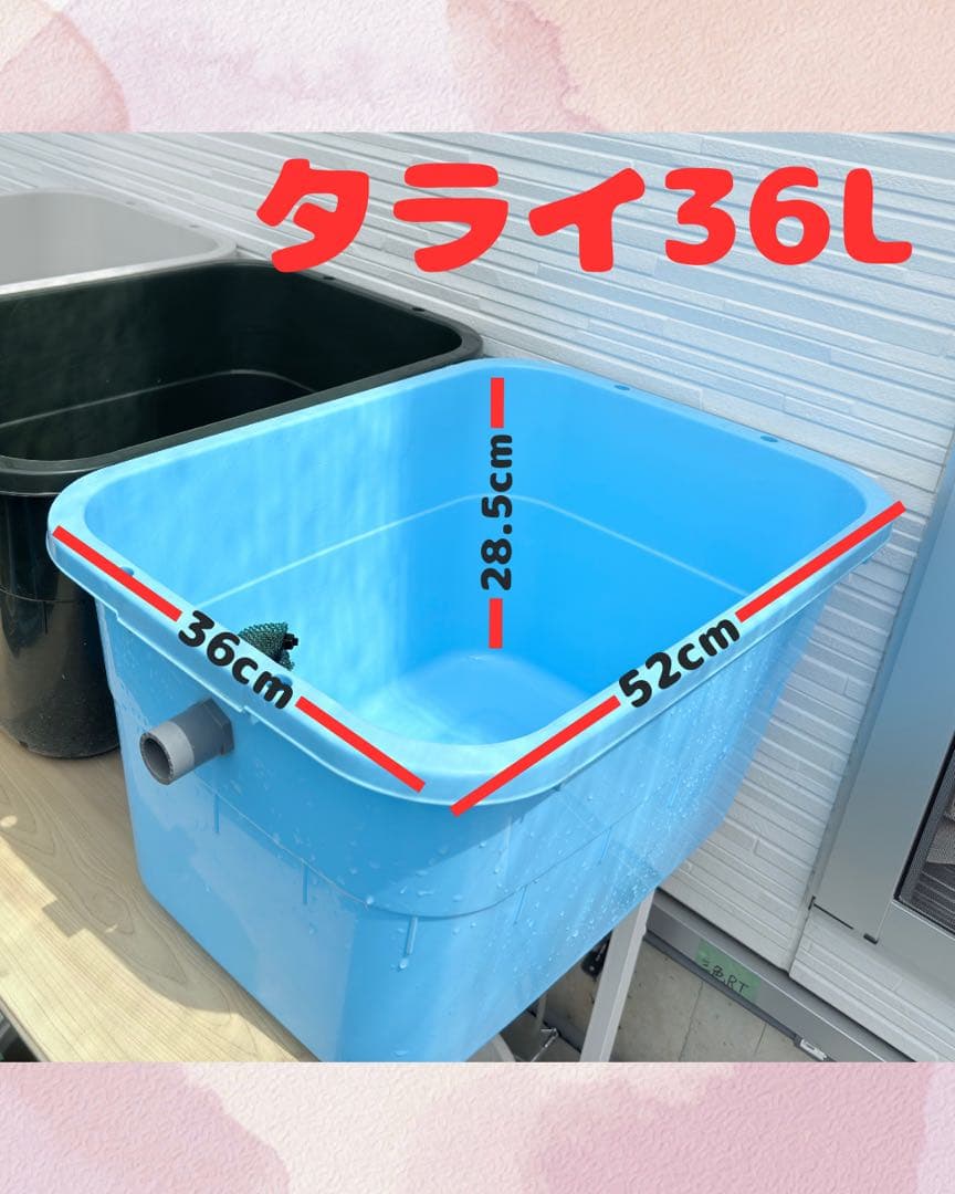 ★お買い得★たらい36L(3個)メダカ飼育容器オーバーフロー トロ舟プラ舟めだか