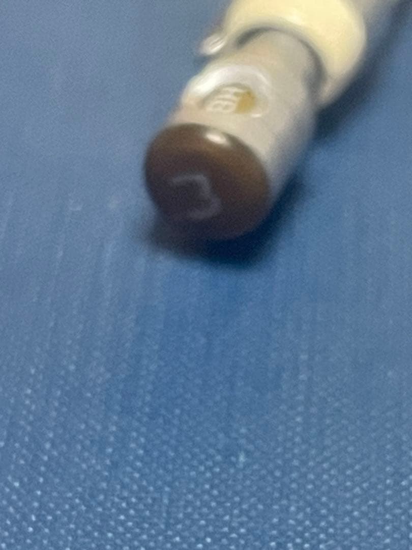 S20 白漆 カスタム 螺鈿 漆塗り しーさー 木軸ペン 0.5