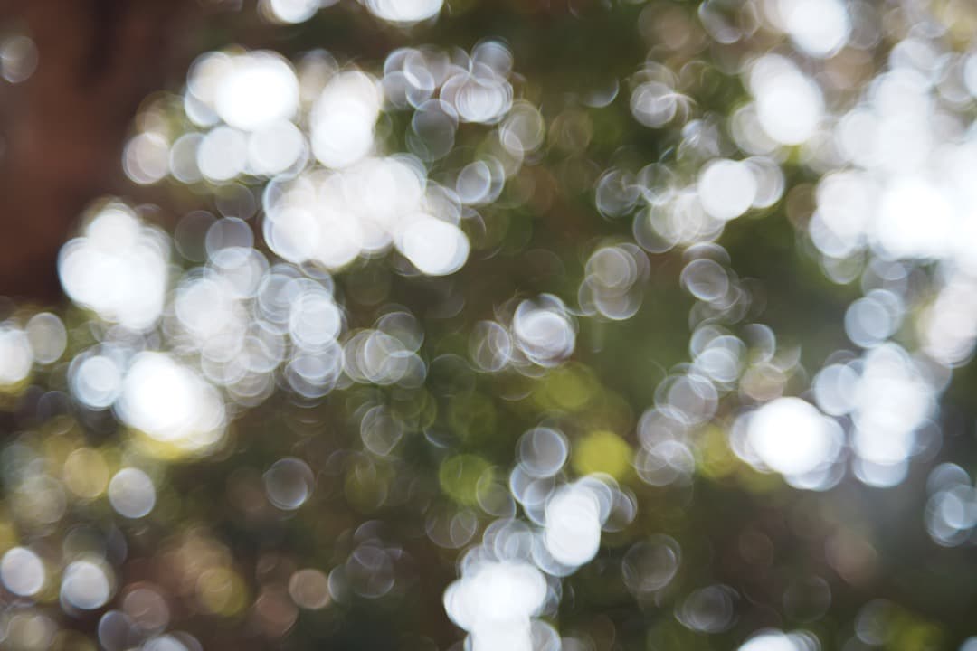 【バブルボケ】動作◎ FUJINON 55mm F2.2 後期 M42 325