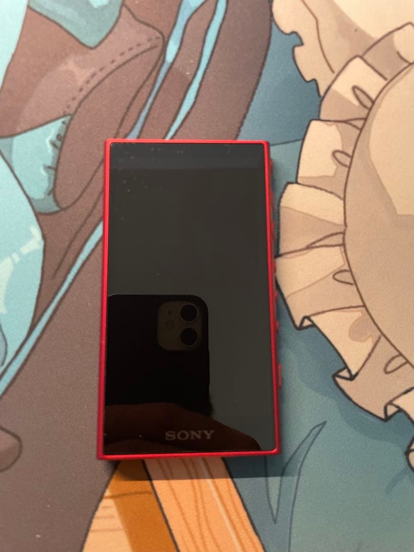 SONY NW-A105 ウォークマン WALKMAN 16GB