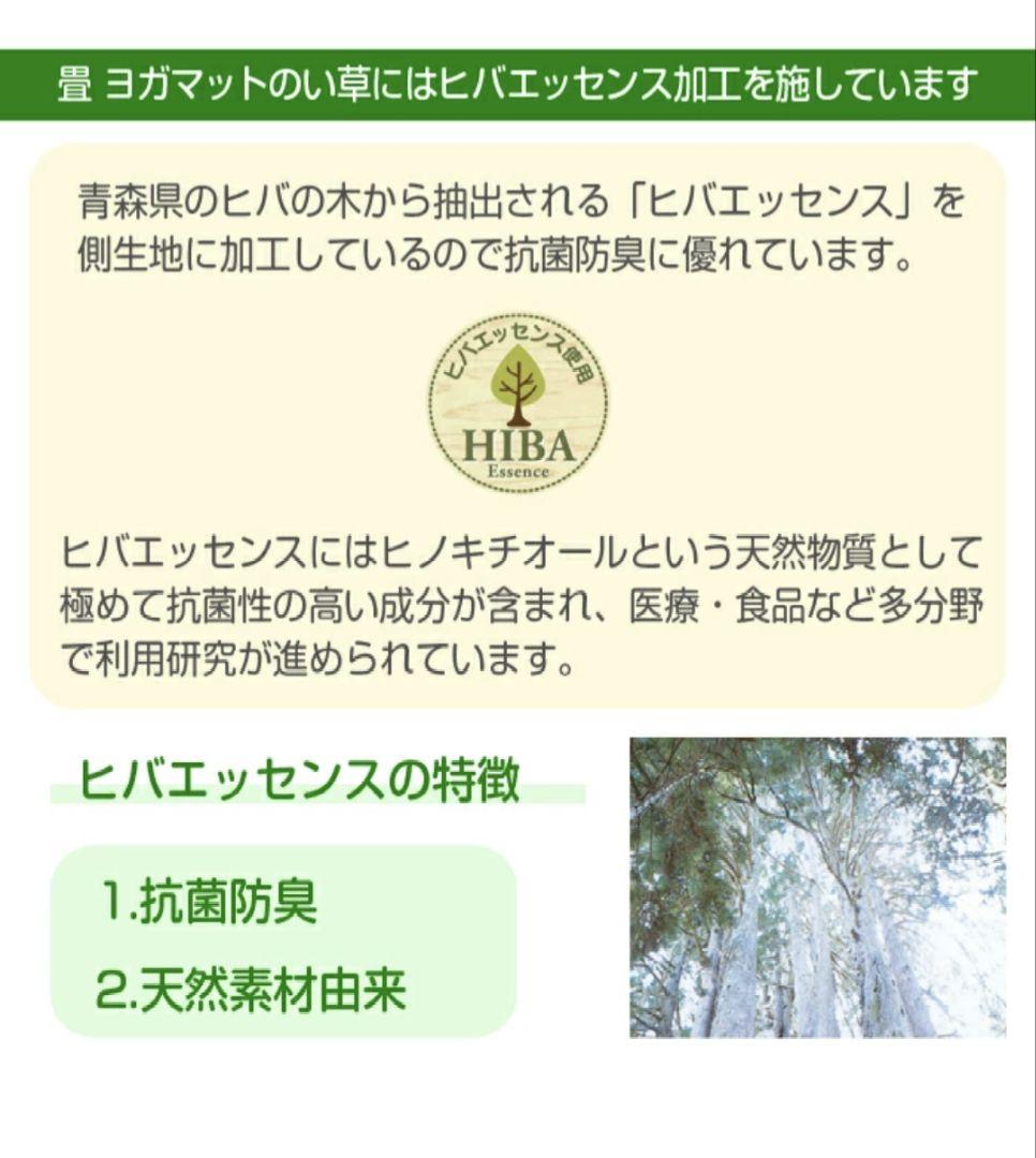 イケヒコ 畳 ヨガマット ソフトネイティブ柄 ネイビー アース ブルー系