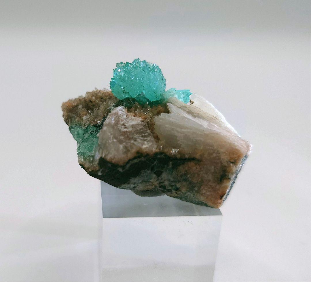 アポフィライト インド産 母岩付き 鉱石 鉱物 ミネラル 標本 原石 犬牙状 ⑤