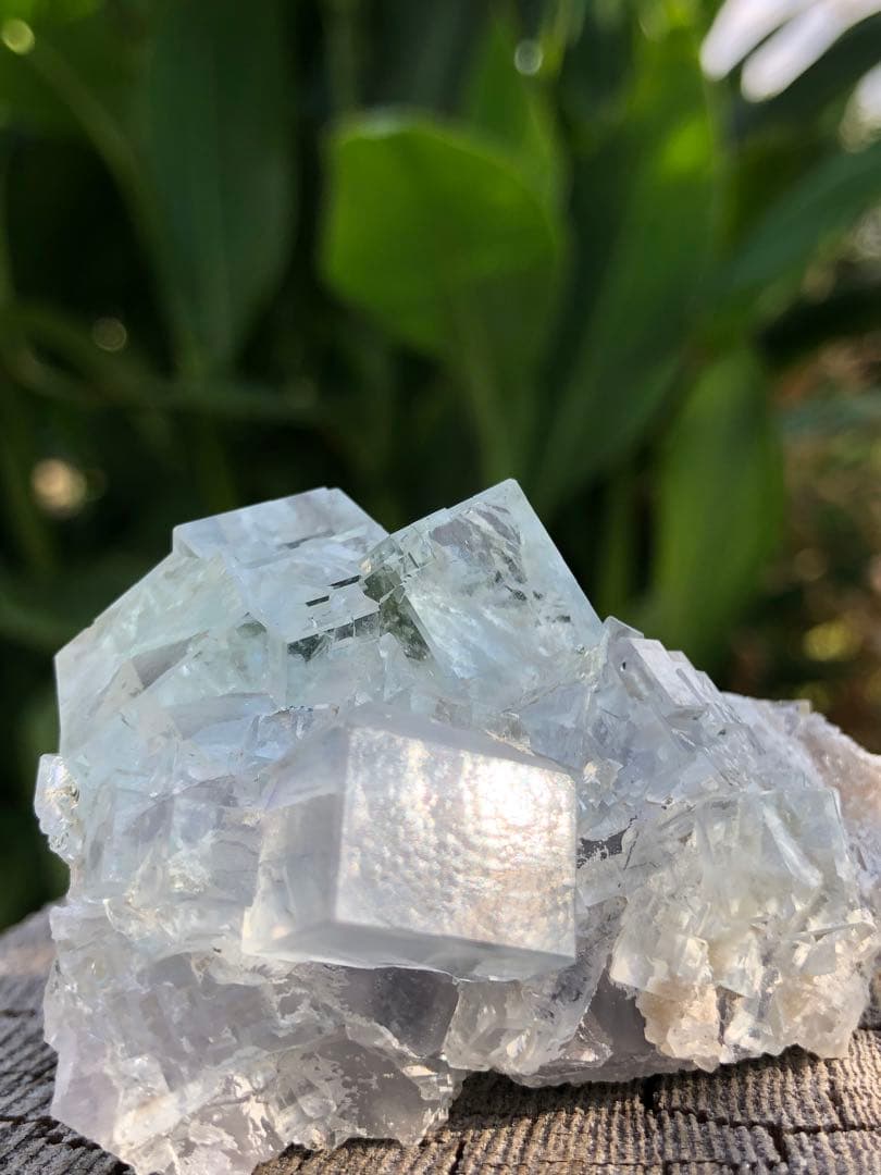 レア　✳ ガラス様な　薄いグリーン　透明感拔群　フローライト 蛍石