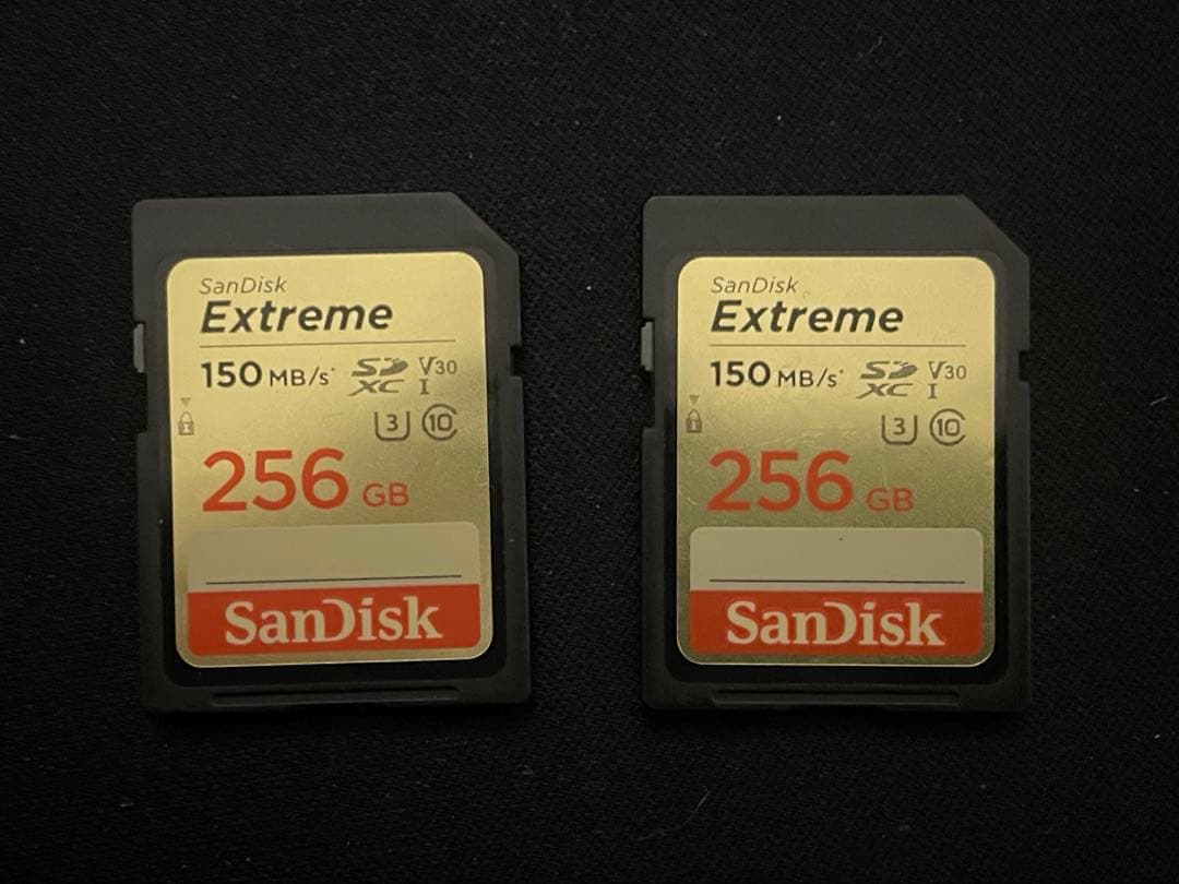 【超美品】Panasonic HC-X2 4Kビデオカメラ（おまけ付き）