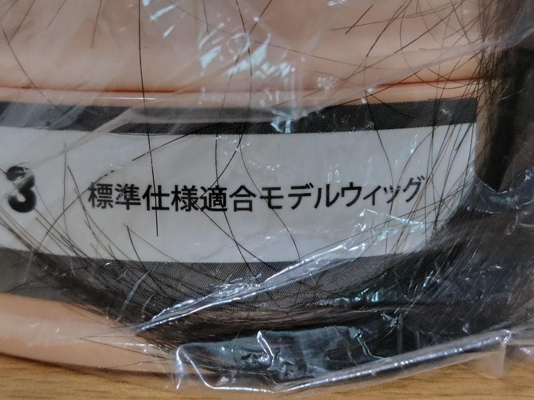 美容師国家試験用カットウィッグ 12体セット