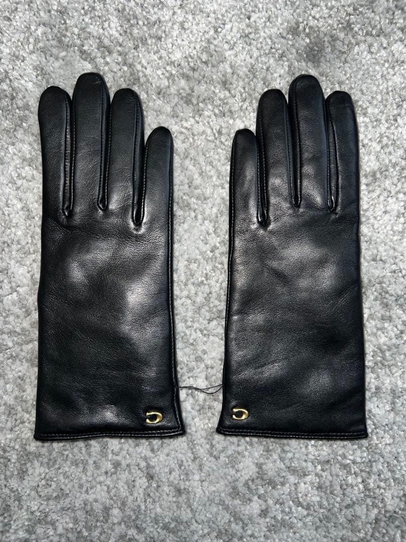 スカルプテッド シグネチャー レザー テック グローブ