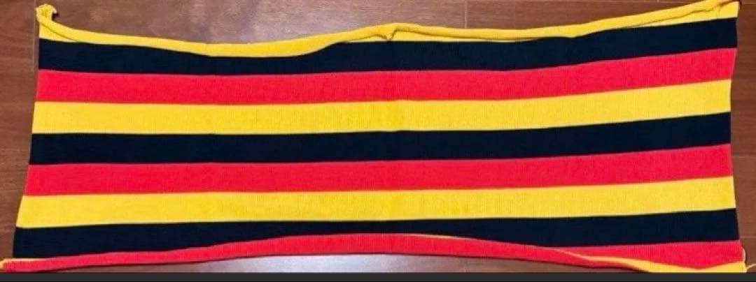 GOODENOUGH モッズコート生地　藤原ヒロシ MA-1 ドイツ