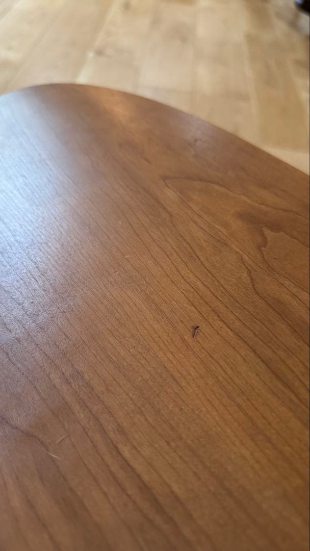 ハーマンミラー LCW チェリー突板 正規品 訳あり