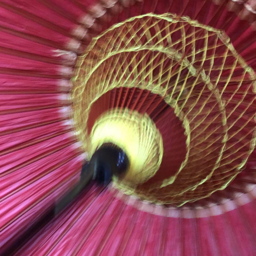 本物　貴重　蛇の目傘（羽二重）ケース付