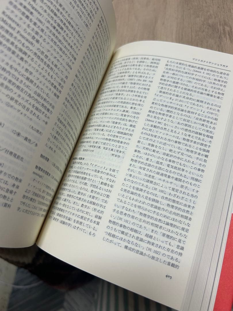 【専用】現象学事典