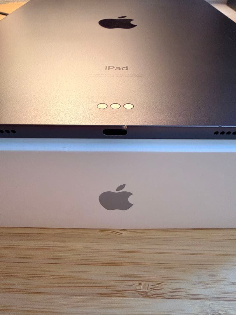 Apple iPad pro第1世代 256GB ＋Apple Pencil