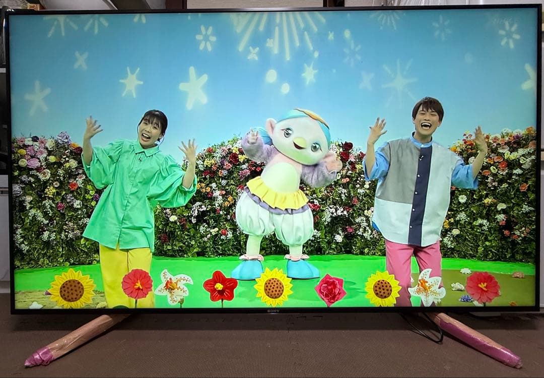 ソニーKJ-65X8550G 65型 ⭕️ 4Kネット動画可