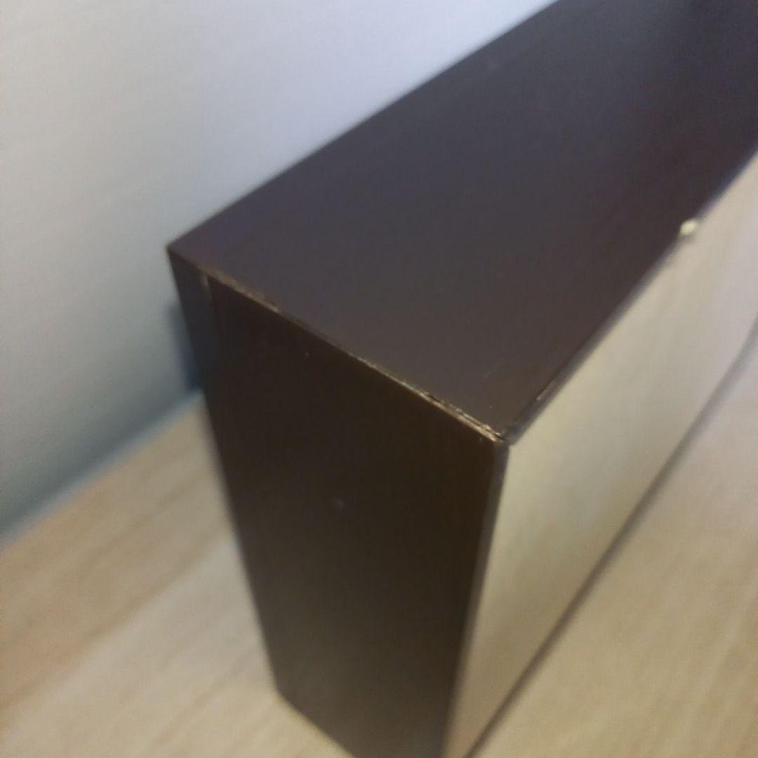 【アクティオンゾウカブトムシ】 アクティオン標本 　昆虫セット　オスメスペア