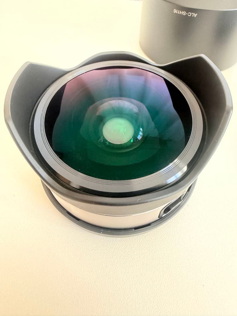 SONY E 単焦点 SEL16F28 & 魚眼コンバータ VCL-ECF1