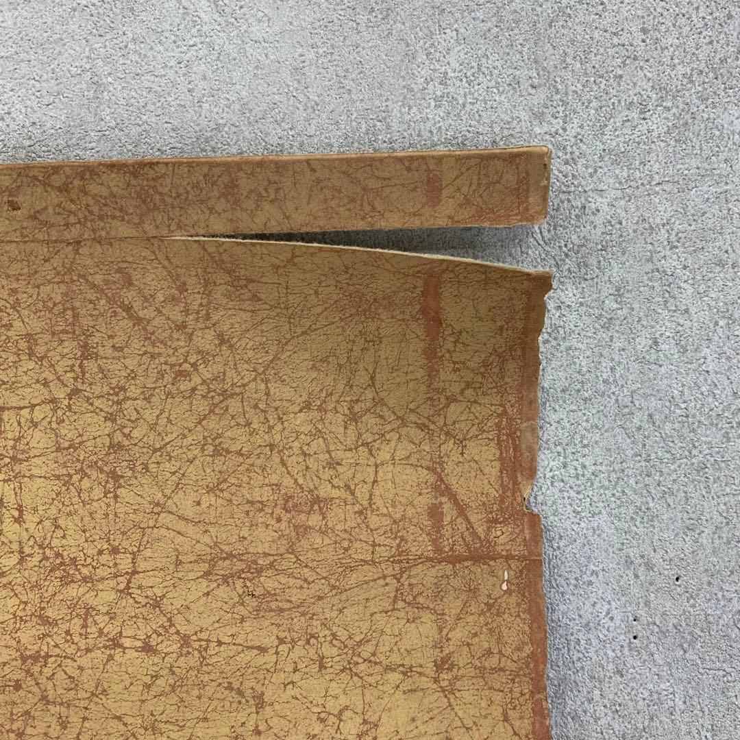 【Koo】掛軸 陶山勝寂 龍 出雲松江藩お抱え絵師 破れあり