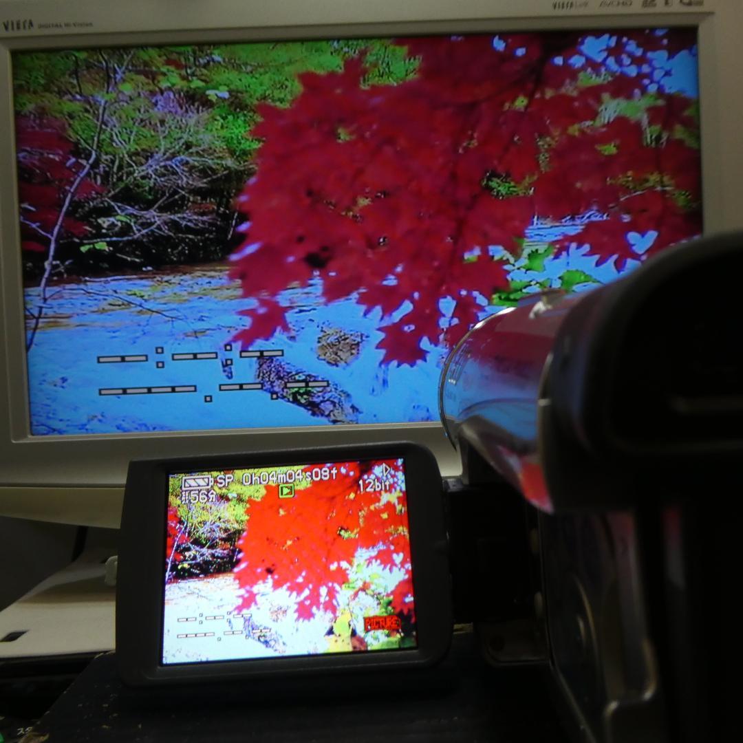 動作良好 パナソニック NV-GS200 MiniDVビデオDVDダビングに最適