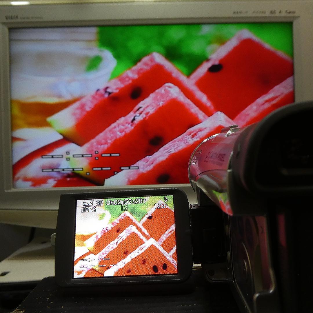 動作良好 パナソニック NV-GS200 MiniDVビデオDVDダビングに最適