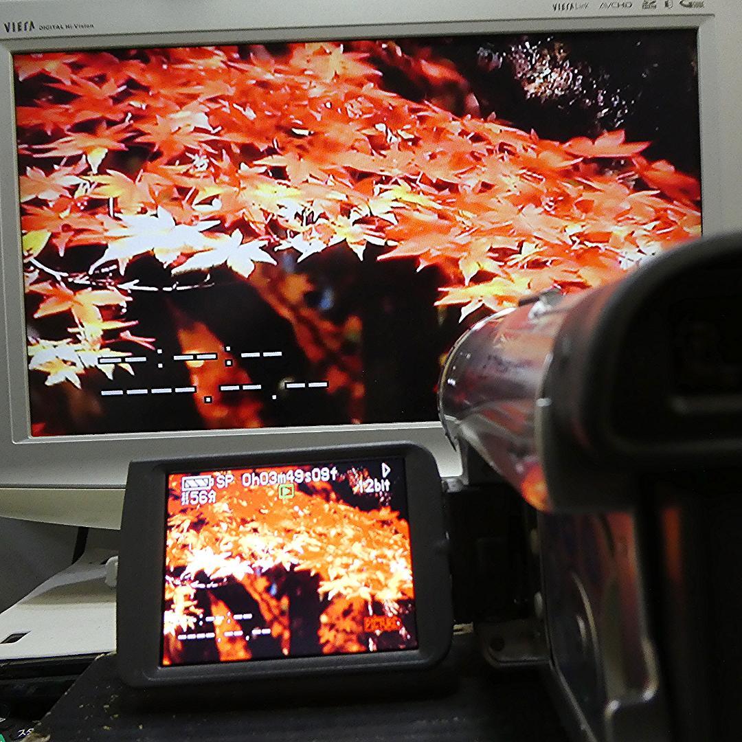 動作良好 パナソニック NV-GS200 MiniDVビデオDVDダビングに最適