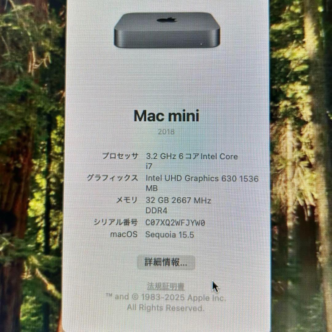 【高スペック　美品】Mac mini 2018 i7 32GB/SSD512G