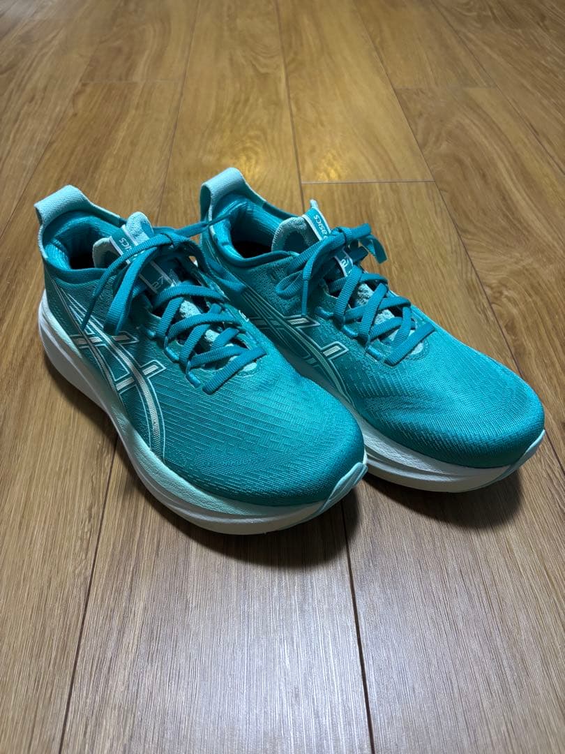 超美品　ASICS GEL-NIMBUS 27 25.0cm レディース