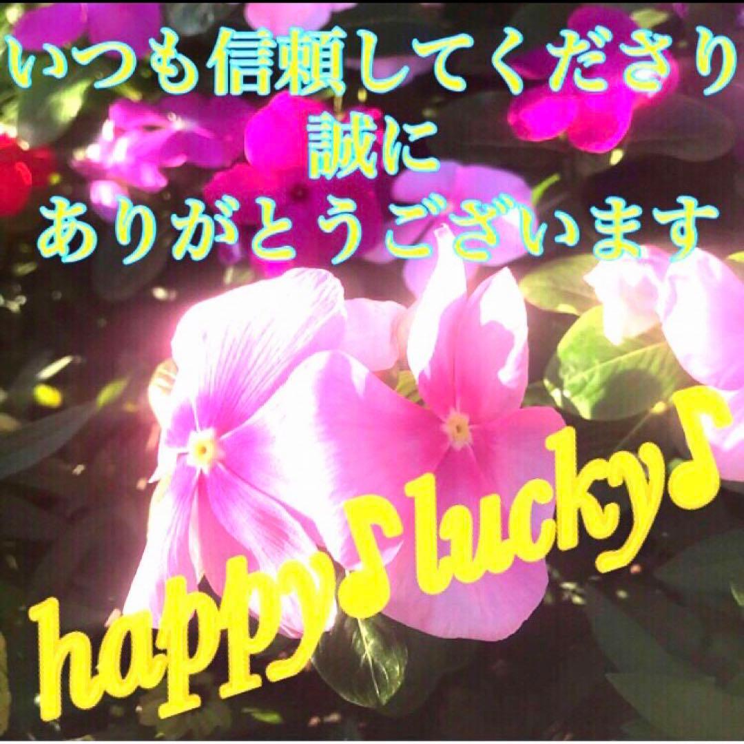 真符(よもぎ)超大開運　願望成就　官位　大出世　長寿　護符　霊符　お守り