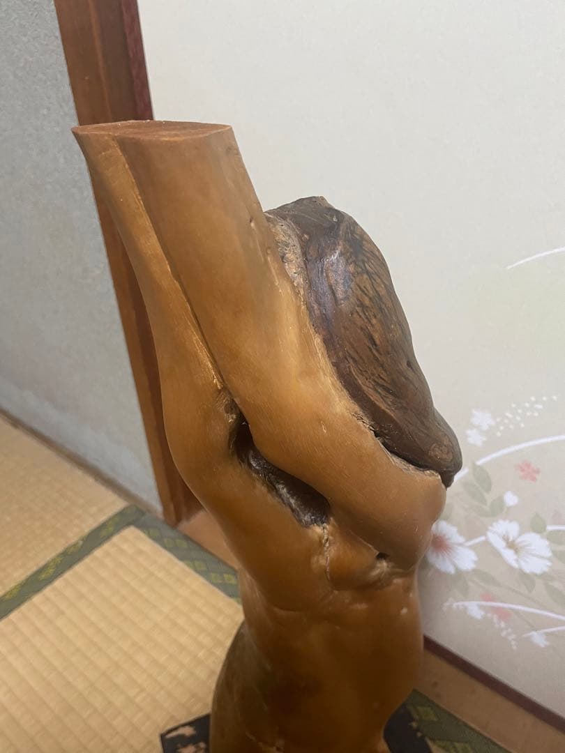 女体の形をした流木