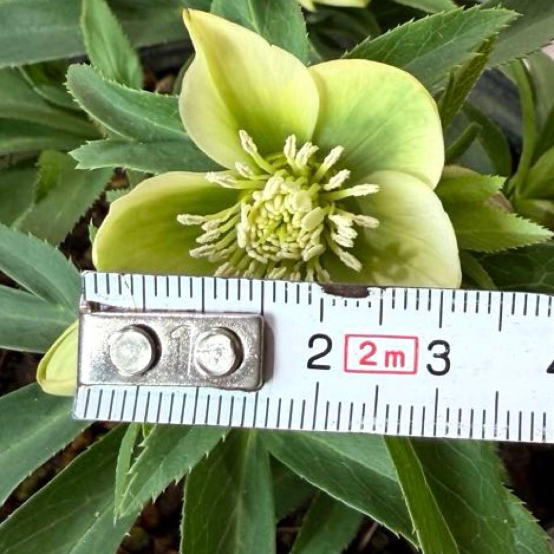 まい様　リクエスト　おまとめ3点