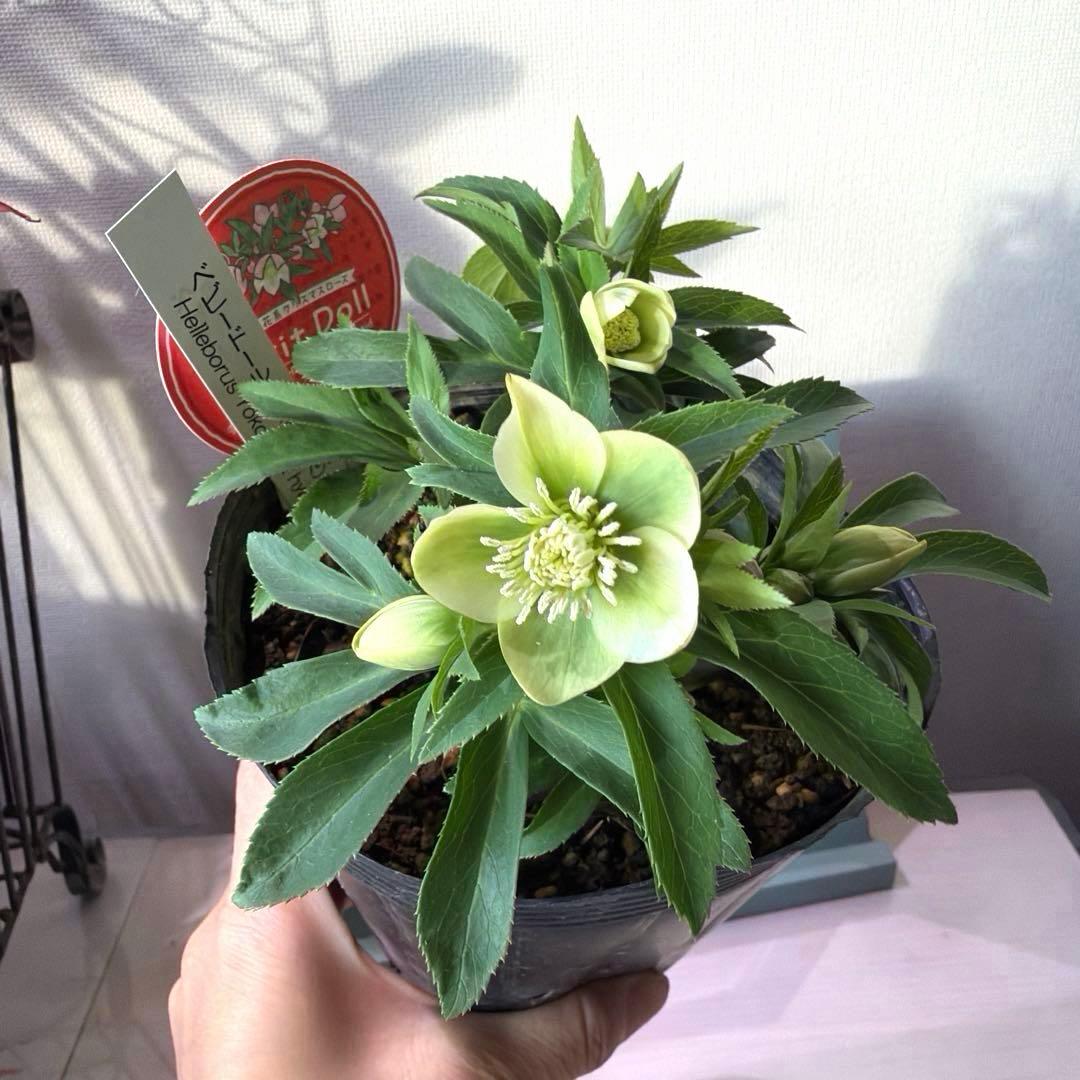 まい様　リクエスト　おまとめ3点