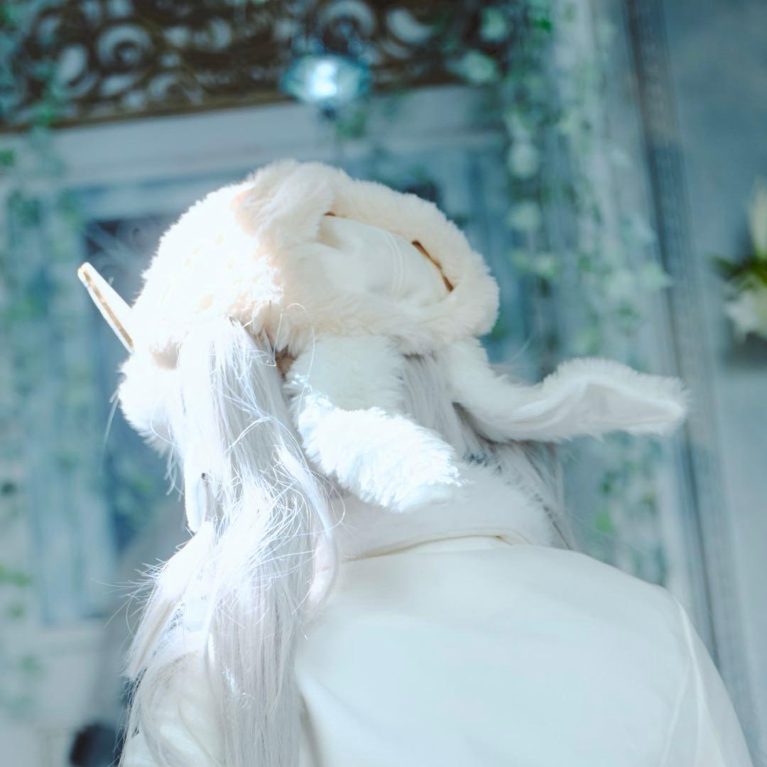 ぽ*太様 勝利の女神NIKKE ニケ　ブラン　フォーチュンエクスプレス　コスプレ