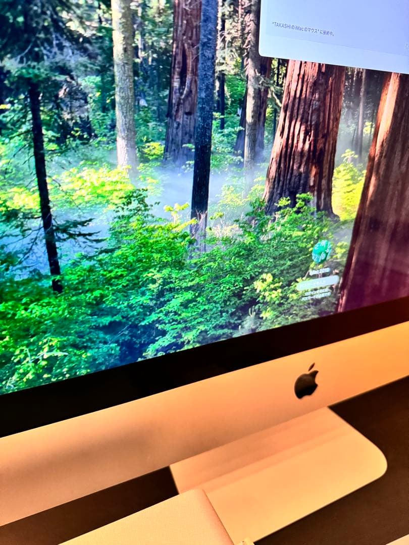 iMac Retina 5K 27インチ 2019 MRQY2J/A　超美品