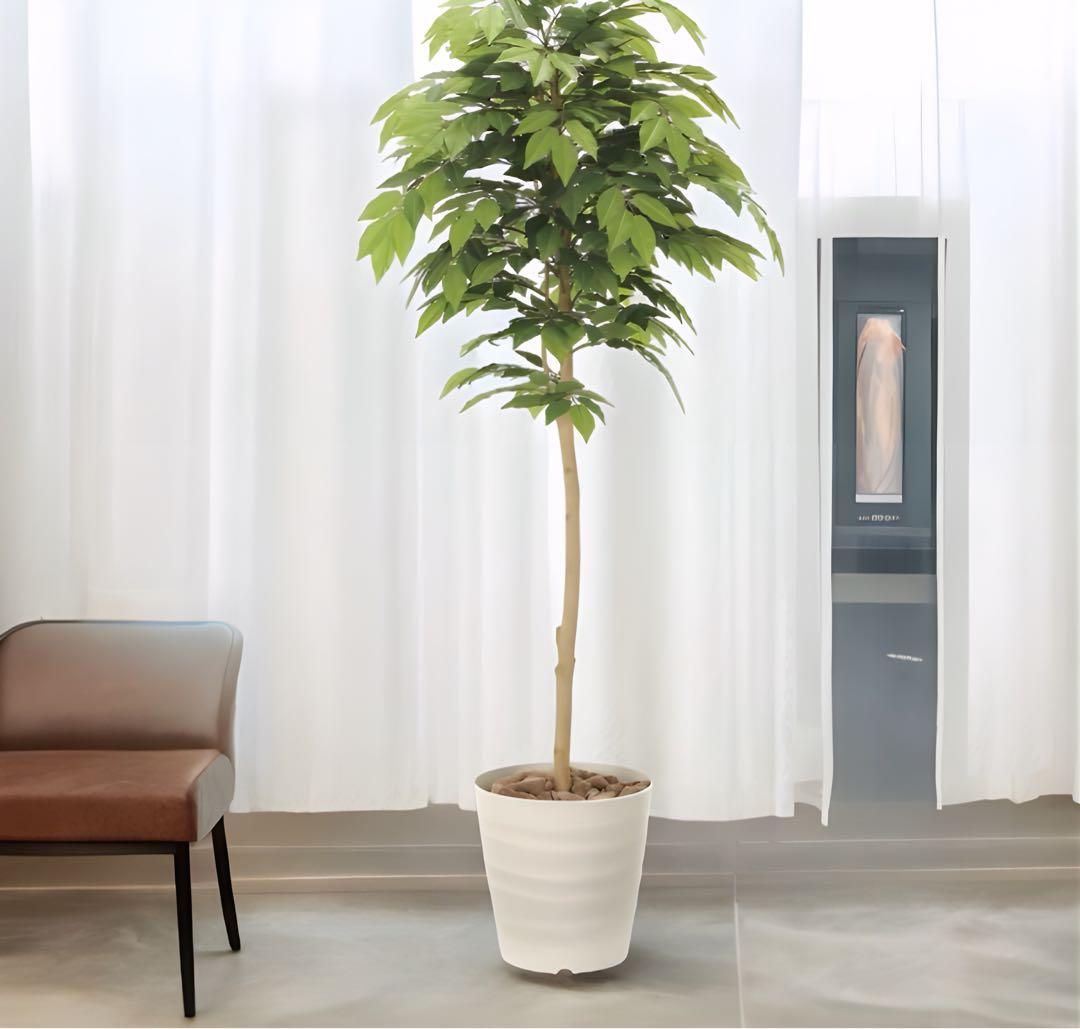 光触媒　人工観葉植物　ウォールグリーン　フェイクグリーン　ケヤキ1.6