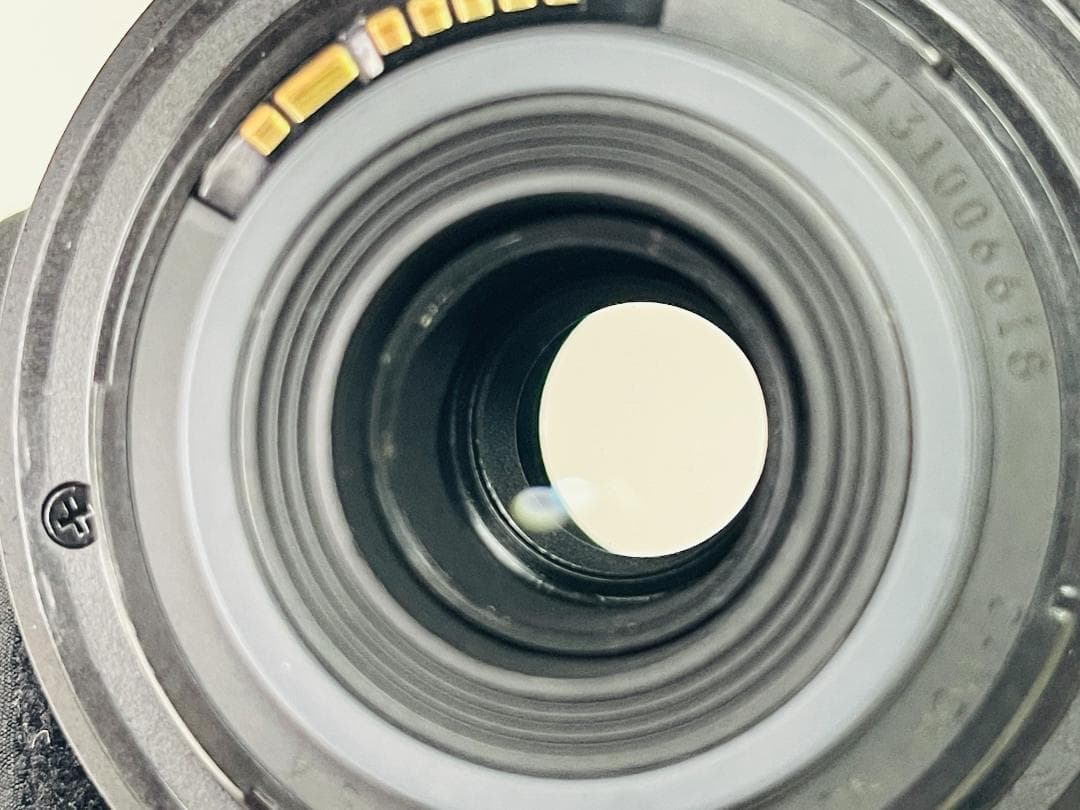 美品☘️ キャノン EF-S 55-250mm IS F4-5.6 望遠レンズ