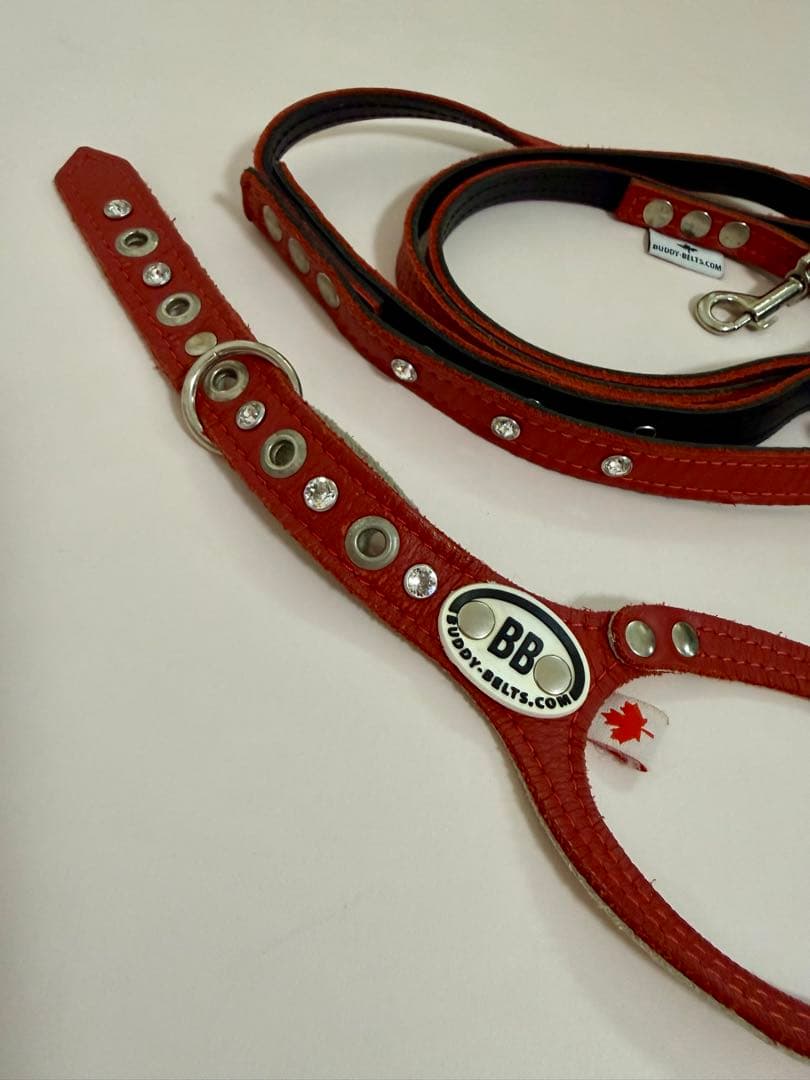 バディベルト （クリスタル付き） BBベルト レッド3.5号 リードセット