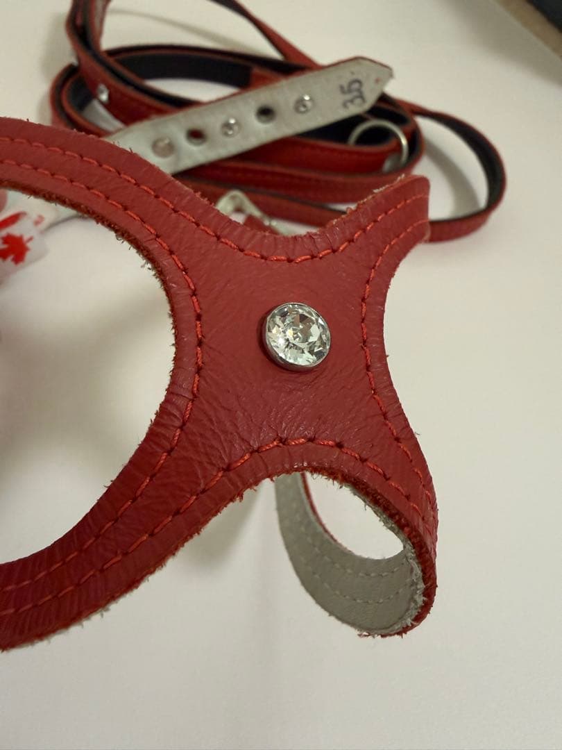 バディベルト （クリスタル付き） BBベルト レッド3.5号 リードセット