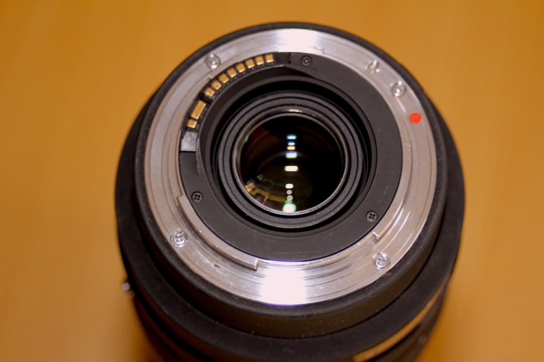 SIGMA 50-500mm F4-6.3 APO DG 超望遠 ズームレンズ