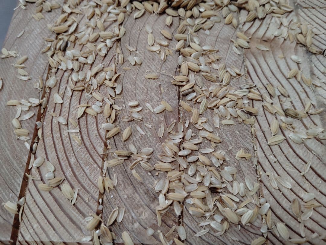 籾摺り機(大型)