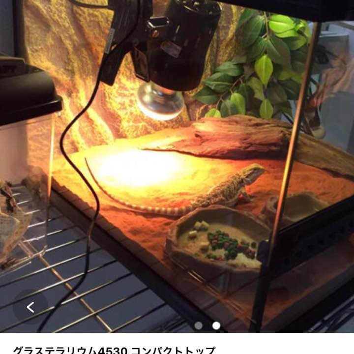 グラステラリウム4530 コンパクトトップ45