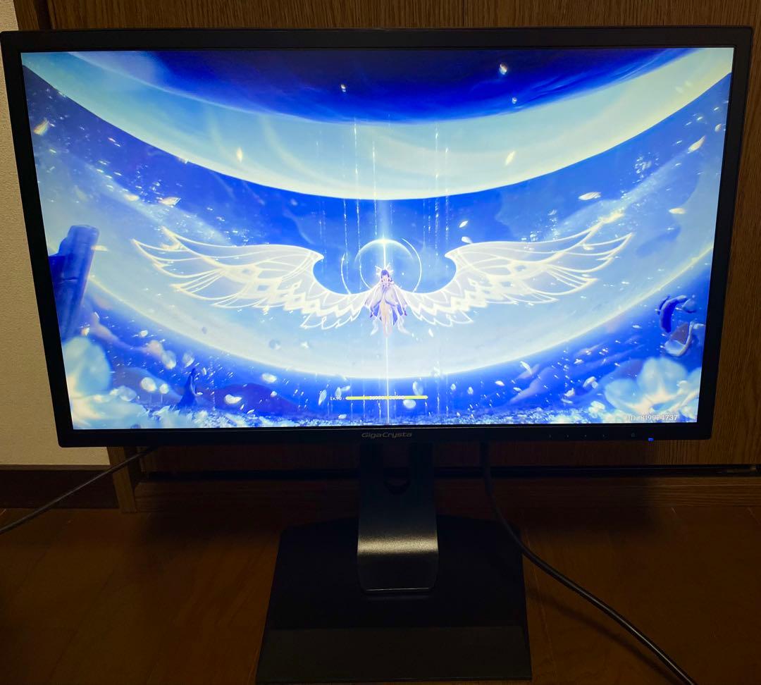 GigaCrysta EX-LDGC242HTB ディスプレイ本体 スタンド付き