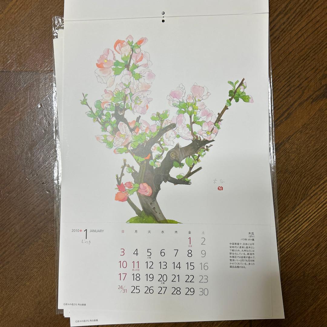 値下げ　　水彩画 木製フレーム付き　 外山康雄　原画　越の小貝母 名刺