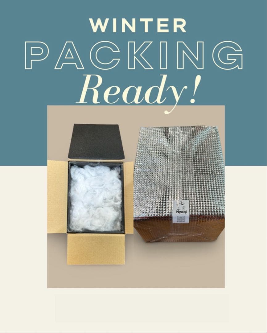 【メルカリ便】P. Willinckii Totoro' （spore）【98】