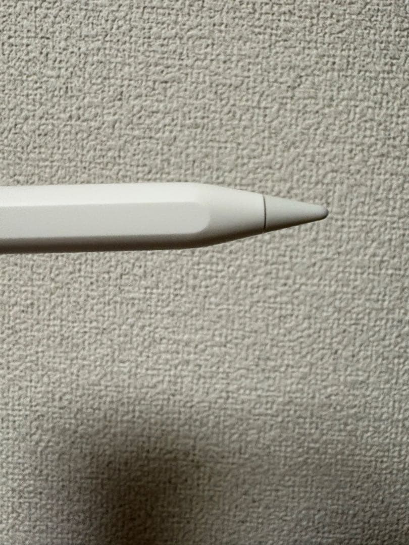 Apple Pencil ホワイト(USB Cタイプ)