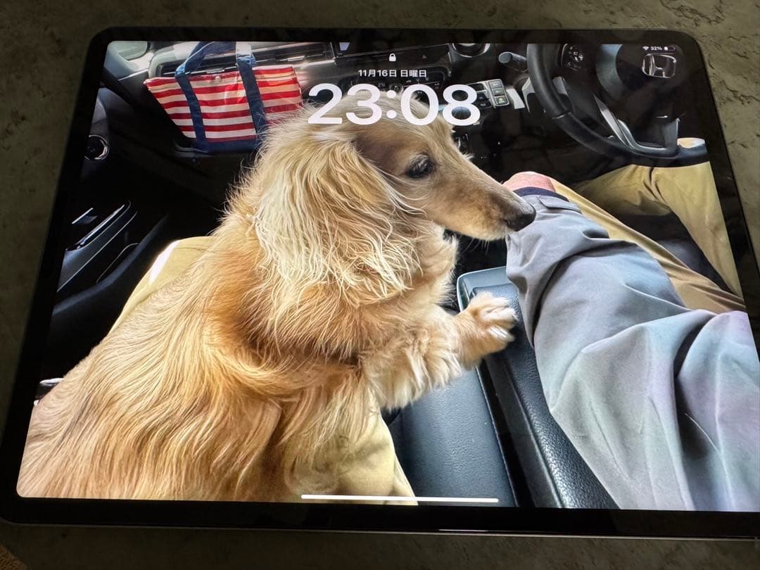 Apple iPad Pro スペースグレー 本体 12.9インチ