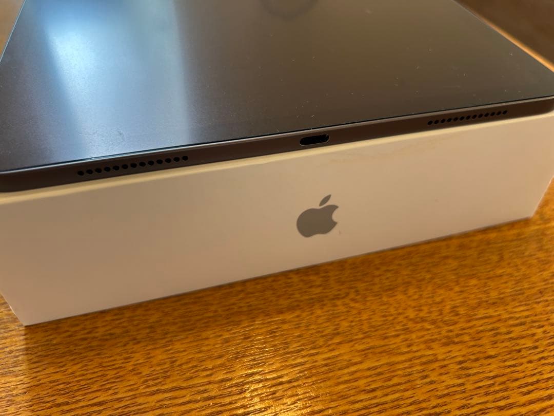 Apple iPad Pro 第1世代 256GB 11インチ Wi-Fiモデル