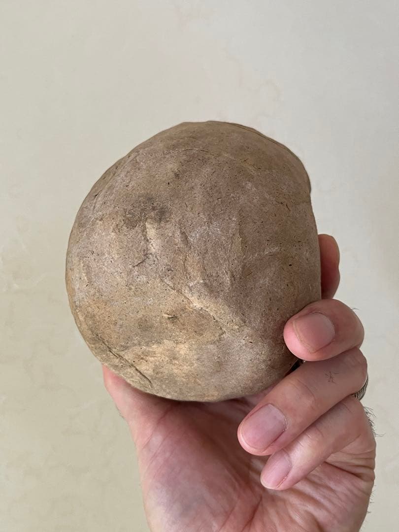 高崎達磨 達磨の木型　2 張子の達磨　中身あり　木型付き　骨董　民藝